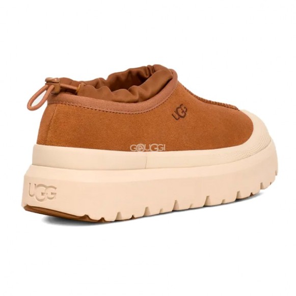 Женские слипоны Tasman Weather Hybrid - Chestnut / Whitecap