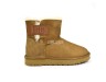 Mini Bailey Logo Strap Suede Chestnut