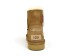 Женские мини угги Mini Bailey Logo Strap Suede Chestnut
